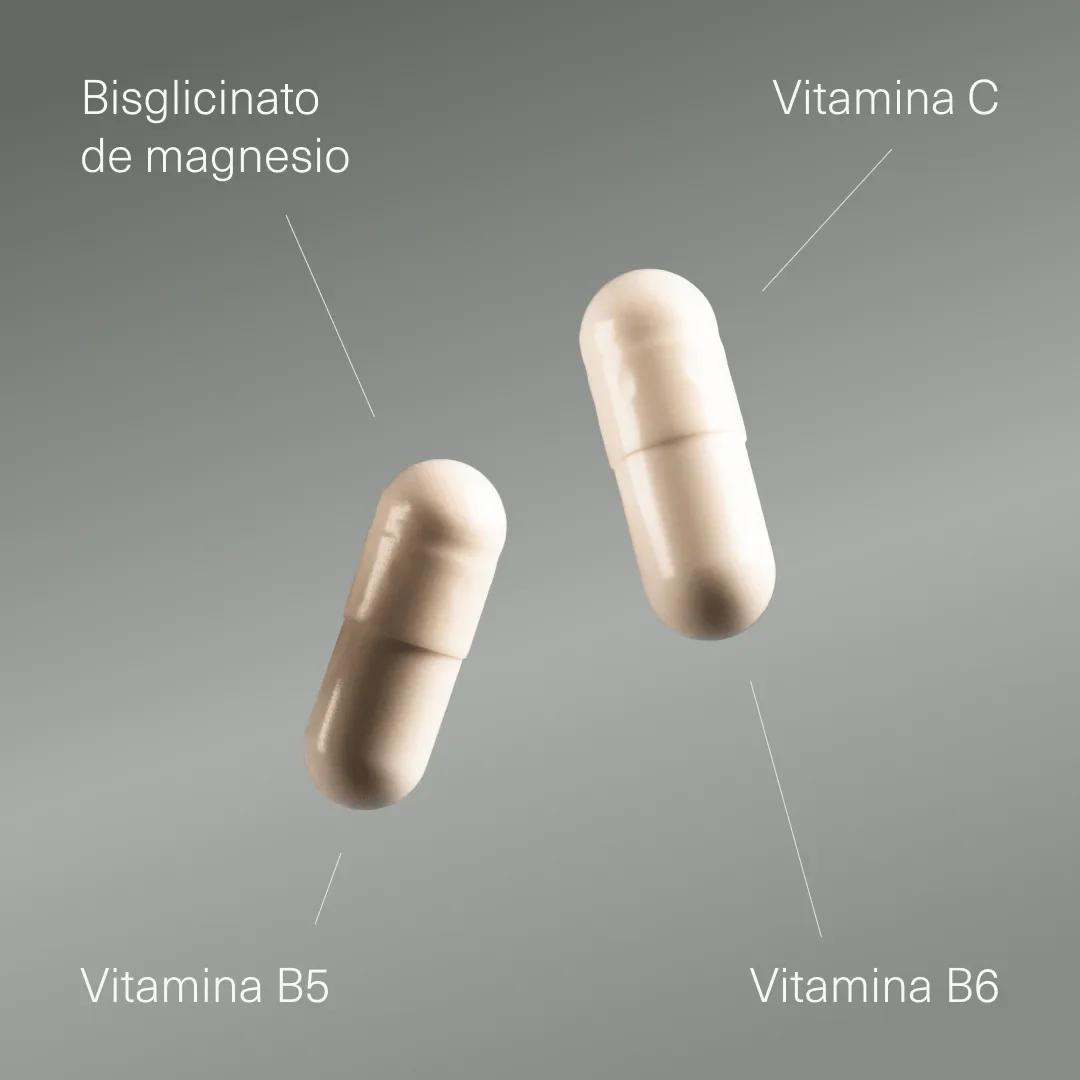 Bisglicinato de Magnesio con Vitamina B5, B6 y C - Image 3