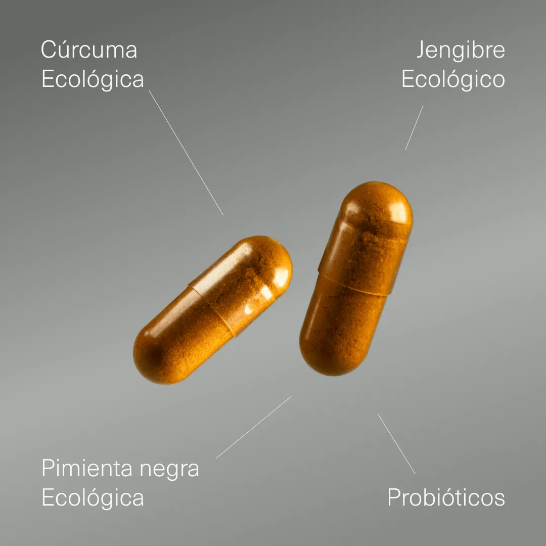Cúrcuma Ecológica con Jengibre, Pimienta Negra y Probióticos - Image 3