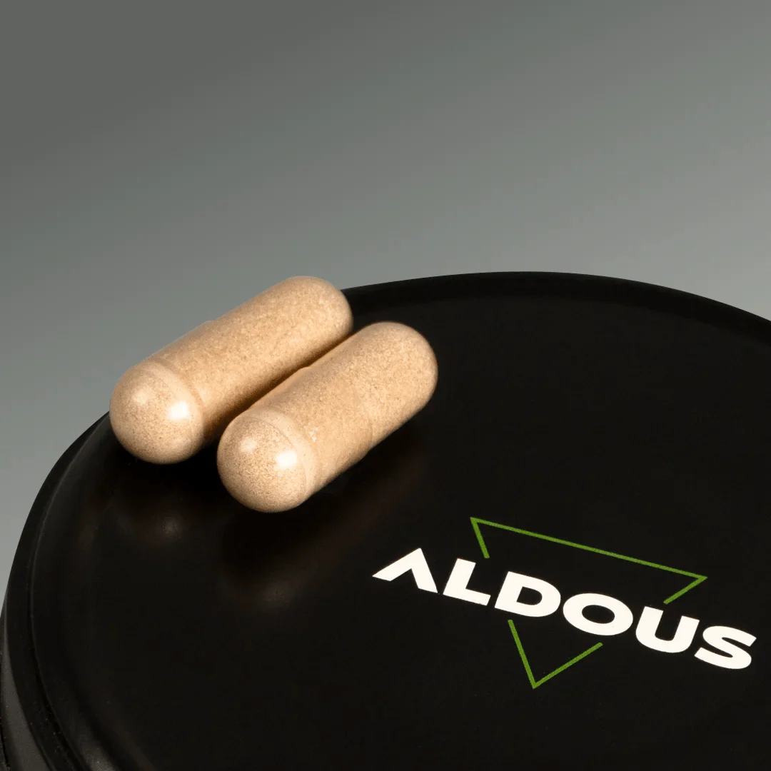 Nootrópico con Ginkgo Biloba, Melena de León, Cafeína, Bacopa, Tirosina, Teanina y Huperzia Serrata - Image 5