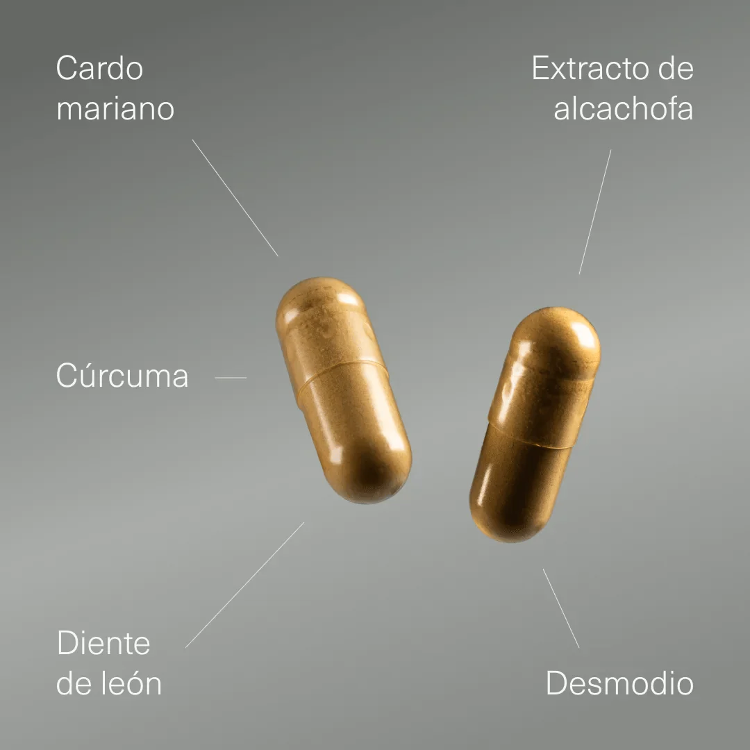 Cardo Mariano con Alcachofa, Cúrcuma, Diente de León y Desmodium - Image 3
