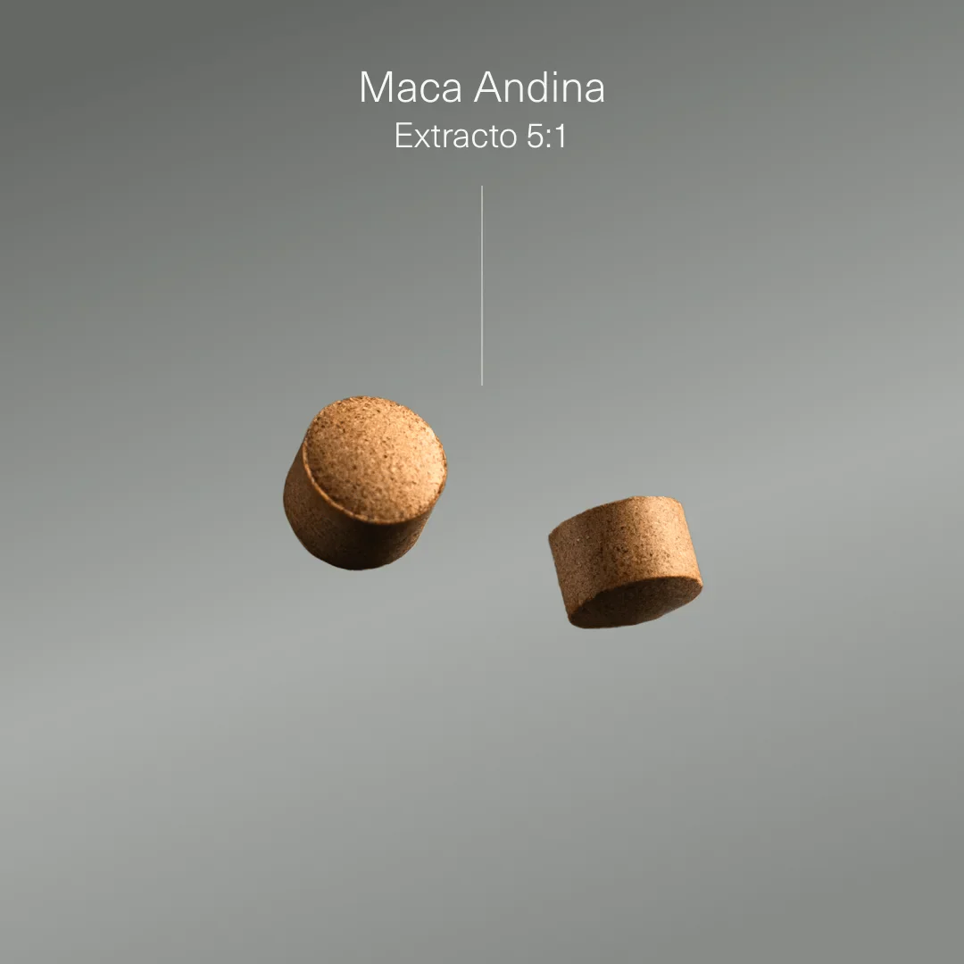 Maca Andina Ecológica Altamente Concentrada - Image 3