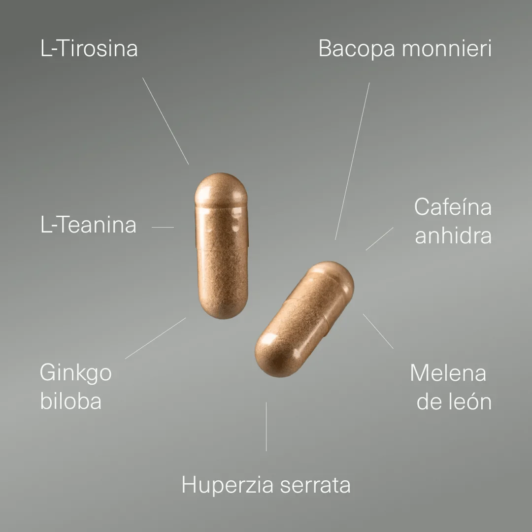 Nootrópico con Ginkgo Biloba, Melena de León, Cafeína, Bacopa, Tirosina, Teanina y Huperzia Serrata - Image 3